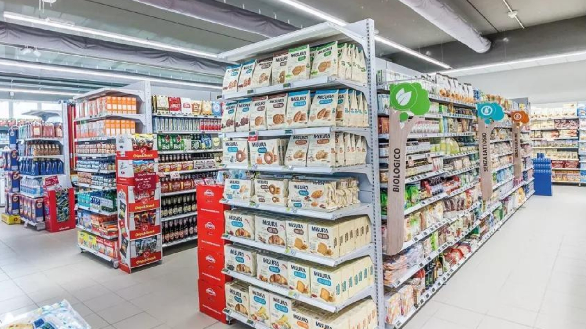 Sedia Ergonomica Operativa